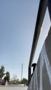 skatin with will [ skaterrboi ] Onlyfans leaked video 4584715 on Hotleaks.tv