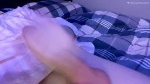 4584894