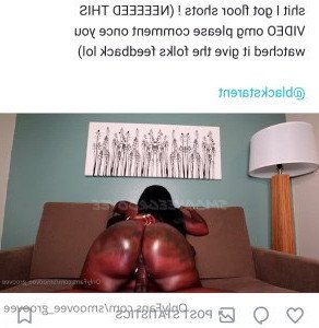 4587596