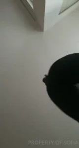 Sofía [ sofiandrea ] Onlyfans leaked video 18283929 on Hotleaks.tv
