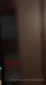 10595112