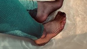 4588260