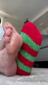18575826
