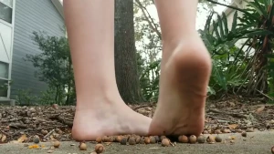 5445116