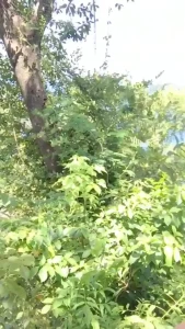 8805546
