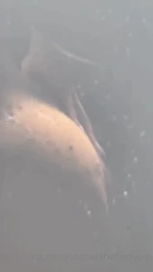 sophiethebodyvip Onlyfans leaked video 8804917 on Hotleaks.tv