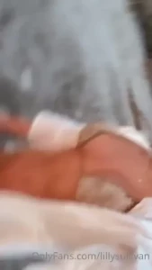 18282913