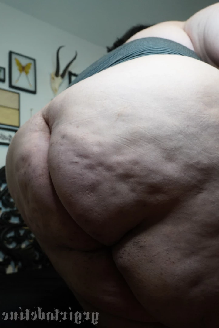𝖆 𝖉 𝖊 𝖑 𝖎 𝖓 𝖊 [ ssbbwadeline ] Onlyfans leaked photo 5679276 on Hotleaks.tv