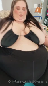 15753102