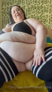 15755294