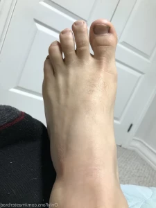 2755804