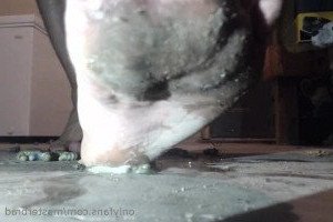 4593154