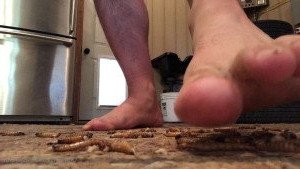 4593164