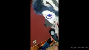 15768960