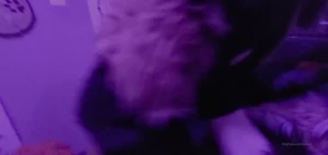 15768985