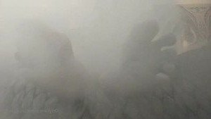 suitup2party Onlyfans leaked video 4594335 on Hotleaks.tv
