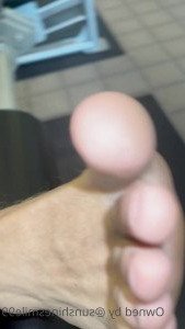 4595849