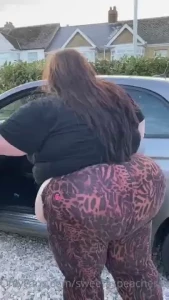 18281048