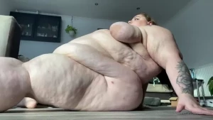 18281058