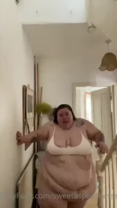 18281068