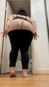 18281004