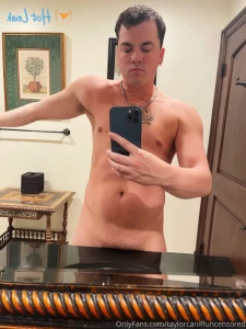 15463753