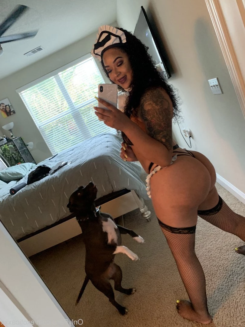 SlimExoticaPussy [ exoticaxxx ] Onlyfans leaked photo 1449134 on Hotleaks.tv