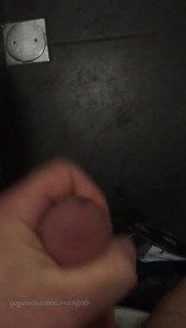 4598703