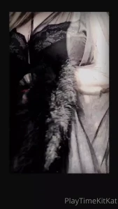 Huge Natural Boobs 36K BBW Curves [ the_kitty_amore ] Onlyfans leaked video 11430389 on Hotleaks.tv