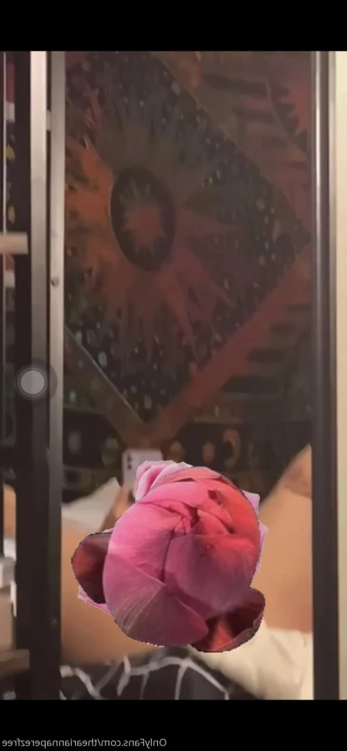 Free Page Ari [ theariannaperezfree ] Onlyfans leaked photo 5666126 on Hotleaks.tv