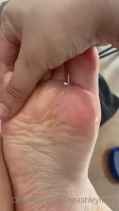 15687060