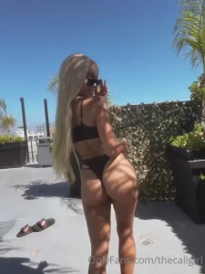 14798281