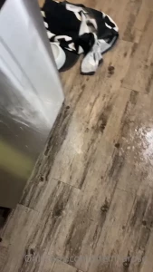 Adria Blair Rose [ blairroseplayhouse ] Onlyfans leaked video 8793576 on Hotleaks.tv
