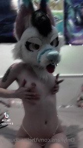 4602278