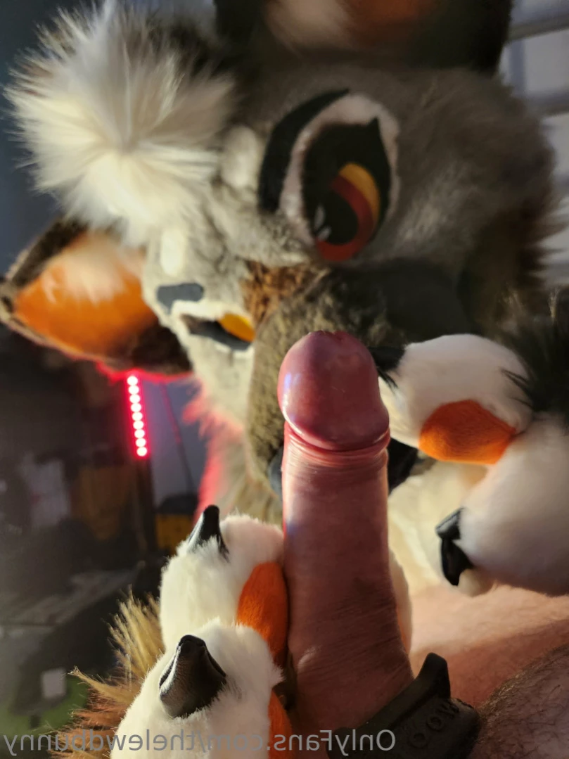 ⛓💕~M U T T~ 💕⛓ [ thelewdbunny ] Onlyfans leaked photo 12758003 on Hotleaks.tv