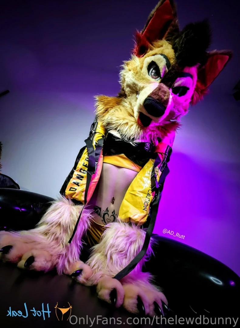 ⛓💕~M U T T~ 💕⛓ [ thelewdbunny ] Onlyfans leaked photo 13427889 on Hotleaks.tv