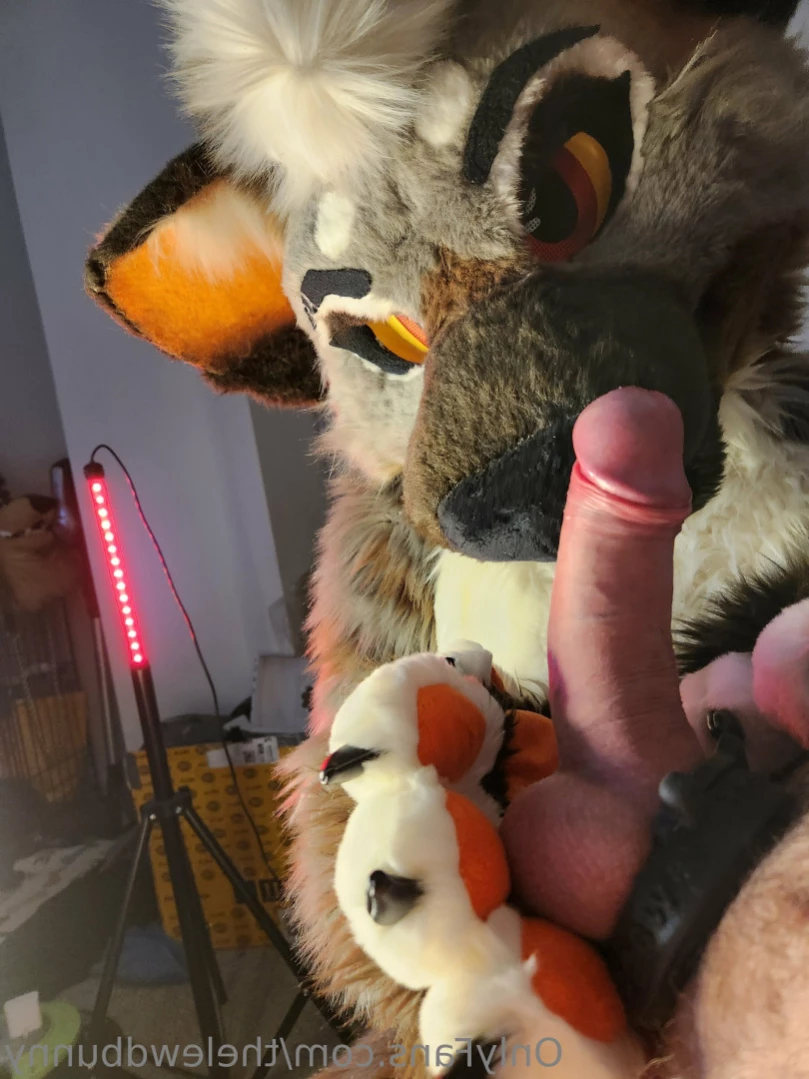 ⛓💕~M U T T~ 💕⛓ [ thelewdbunny ] Onlyfans leaked photo 15499442 on Hotleaks.tv