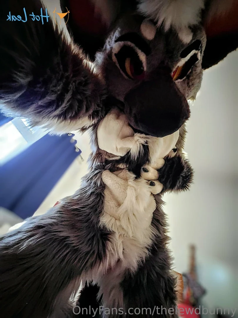 ⛓💕~M U T T~ 💕⛓ [ thelewdbunny ] Onlyfans leaked photo 15725388 on Hotleaks.tv