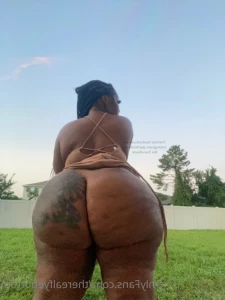 16240175