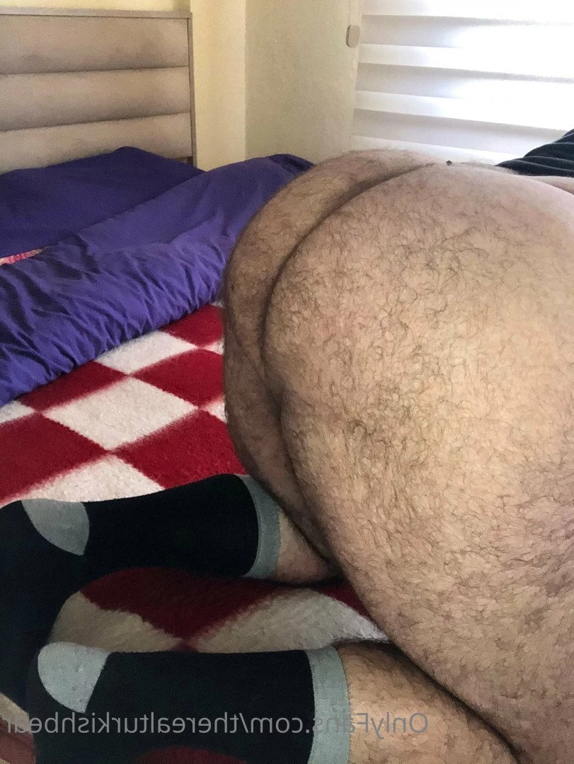 therealturkishbear Onlyfans leaked photo 2616087 on Hotleaks.tv