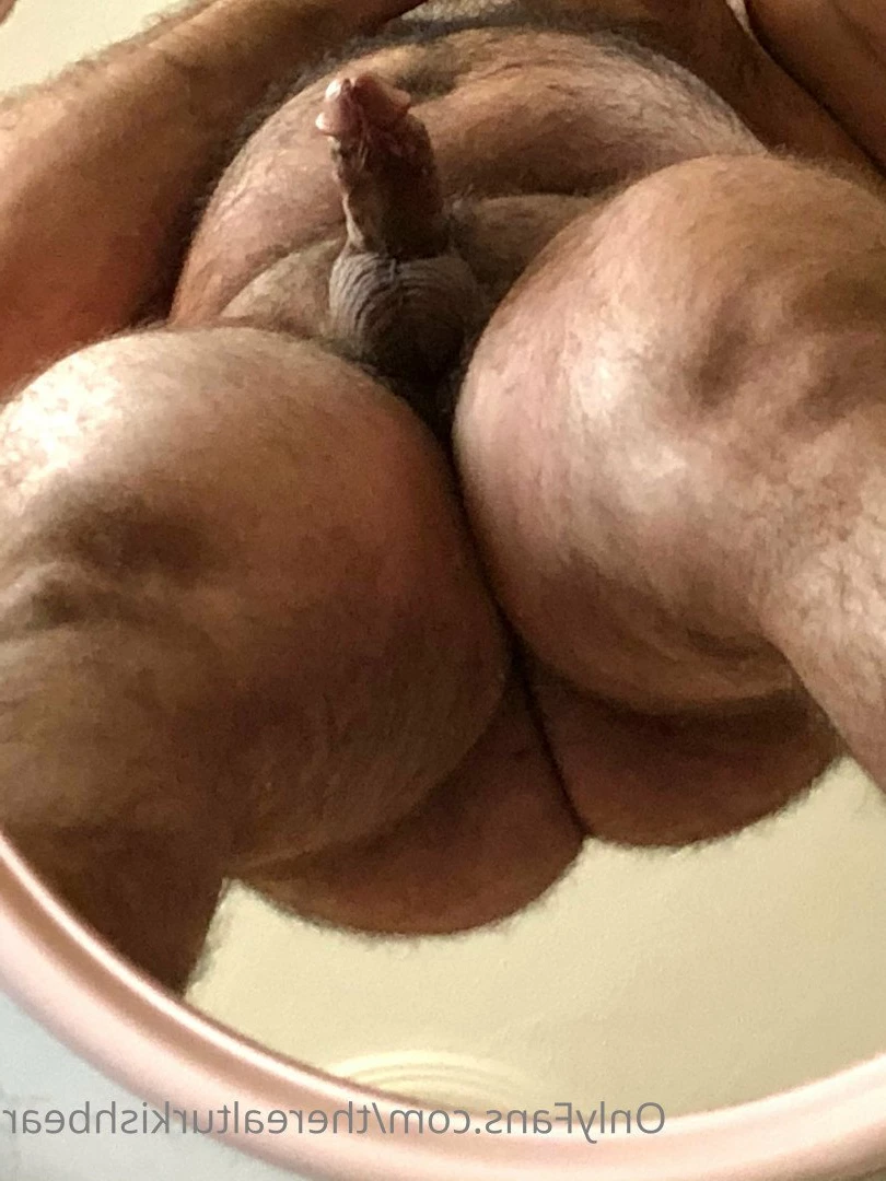 therealturkishbear Onlyfans leaked photo 2616223 on Hotleaks.tv