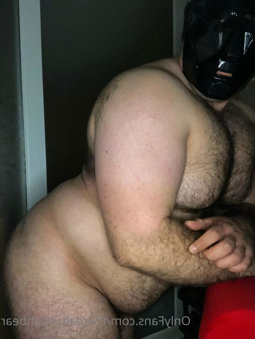 therealturkishbear Onlyfans leaked photo 2616271 on Hotleaks.tv