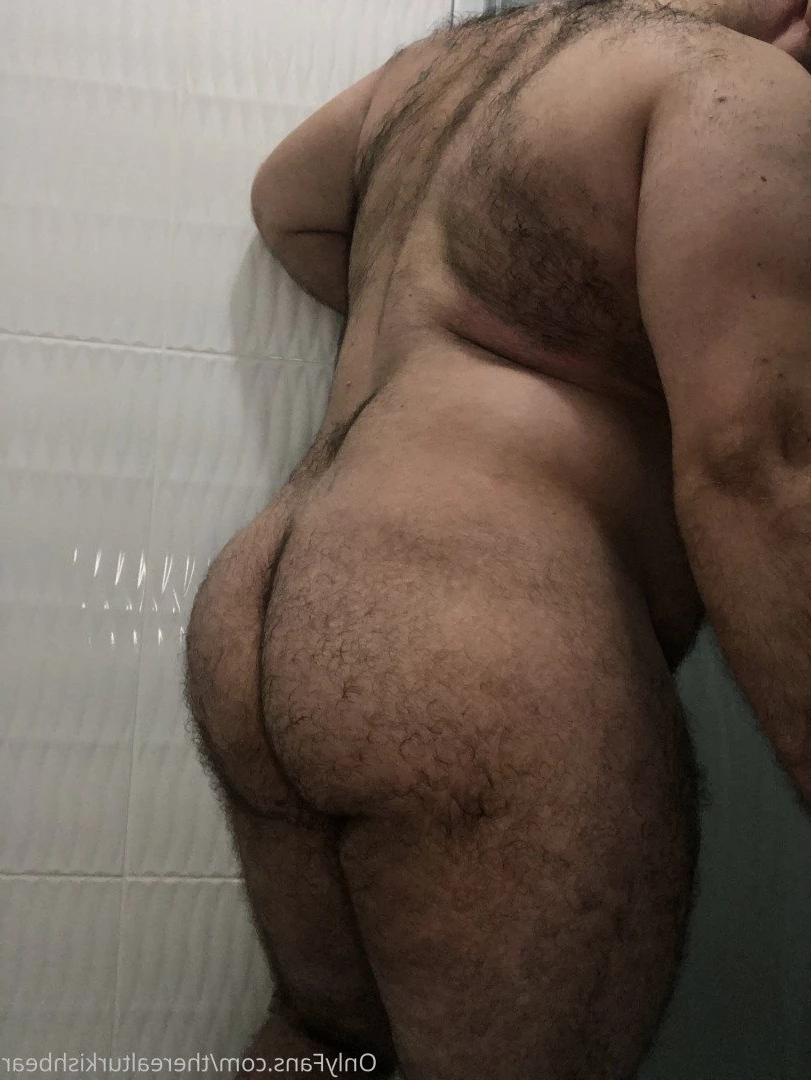 therealturkishbear Onlyfans leaked photo 2616737 on Hotleaks.tv