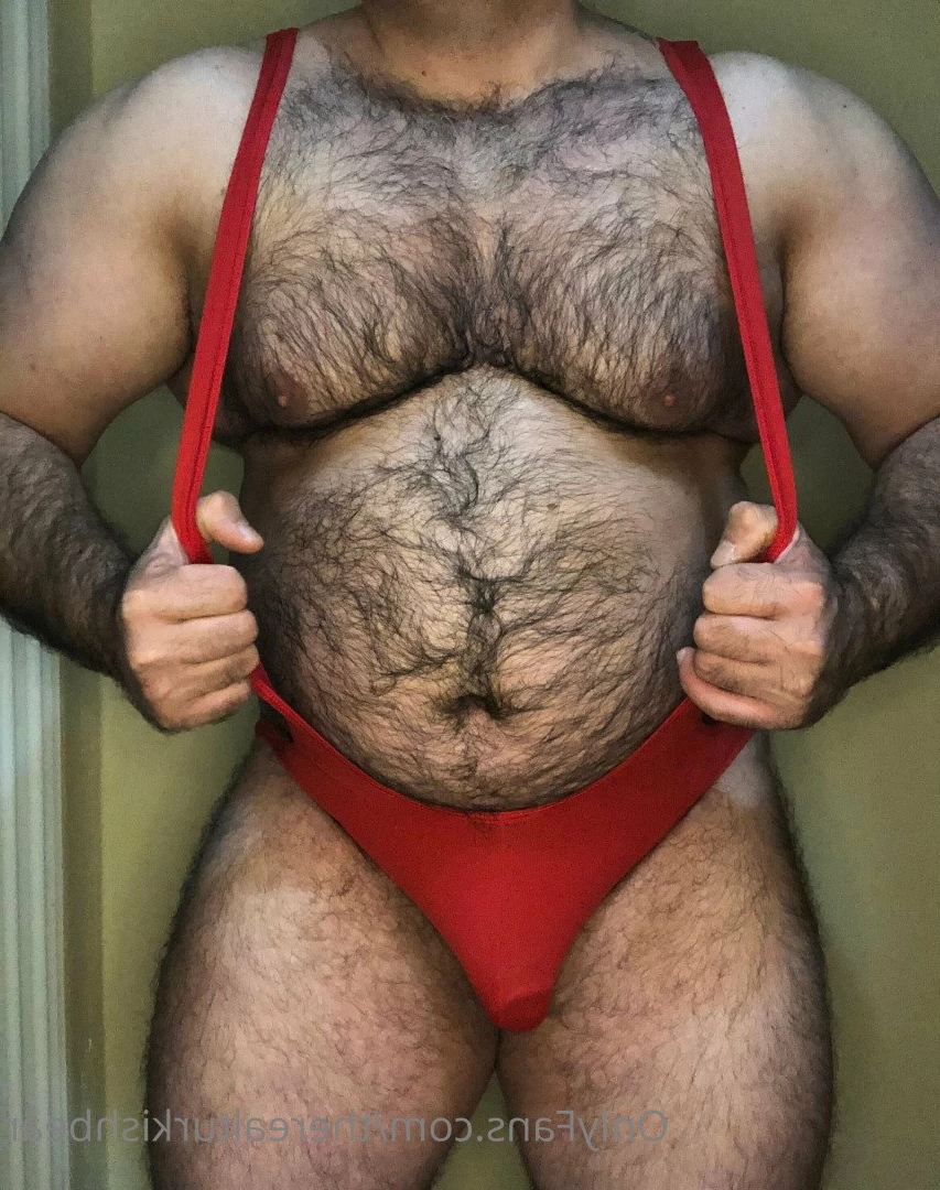 therealturkishbear Onlyfans leaked photo 2617602 on Hotleaks.tv