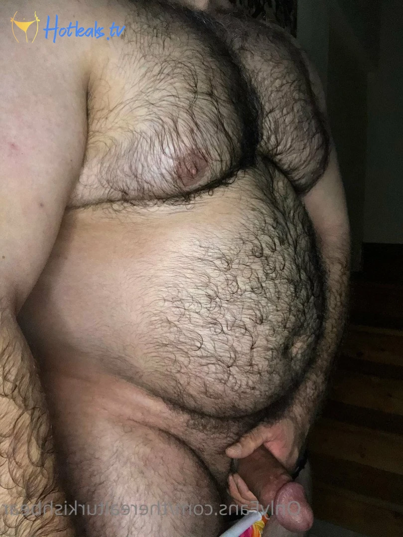 therealturkishbear Onlyfans leaked photo 2618216 on Hotleaks.tv