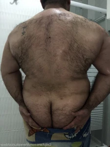 2618326