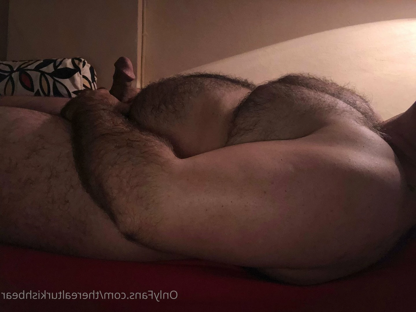 therealturkishbear Onlyfans leaked photo 2618576 on Hotleaks.tv