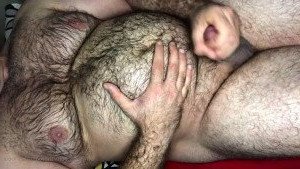 therealturkishbear Onlyfans leaked video 4603346 on Hotleaks.tv