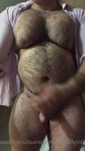 4603377