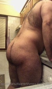 4603381